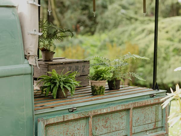 Truck loaded with plants